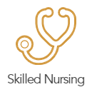 Skilled Nursing button